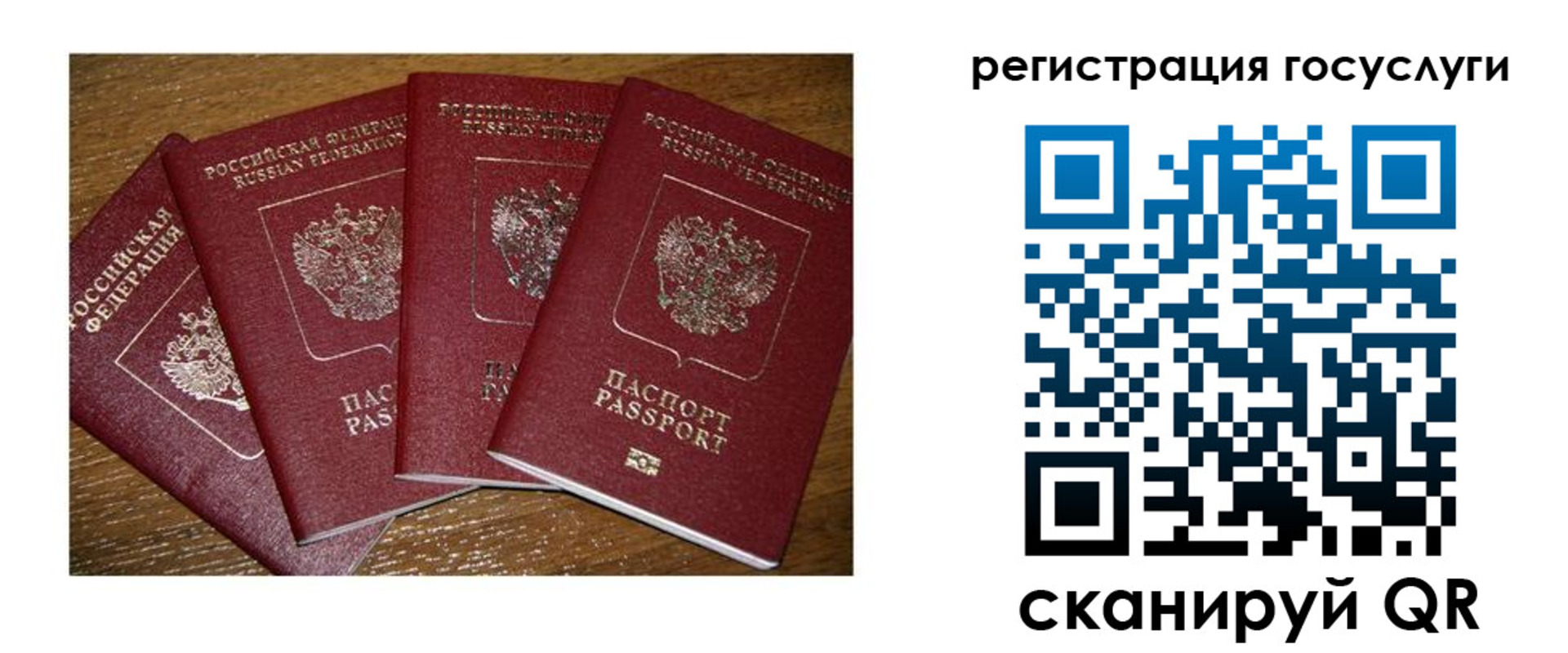 временная регистрация гарантия в Волгоградской области